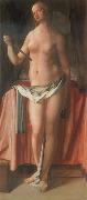 Albrecht Durer The Suicide of Lucretia china oil painting artist